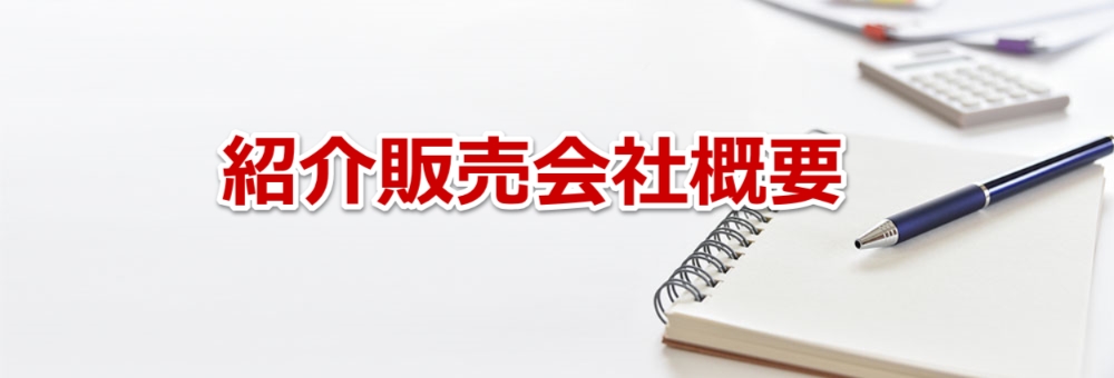 �Љ�̔���ЊT�v